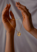 Cargar imagen en el visor de la galería, Collar Piscis