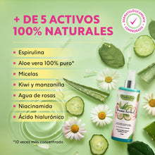 Cargar imagen en el visor de la galería, 🌿 Bruma Herbal - Poros más sanos en pocas semanas