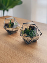 Cargar imagen en el visor de la galería, Terrario Elo