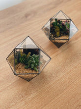 Cargar imagen en el visor de la galería, Terrario Elo