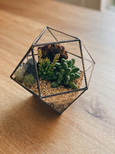 Cargar imagen en el visor de la galería, Terrario Elo