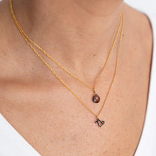Cargar imagen en el visor de la galería, Collar Wish Piedra Capricornio
