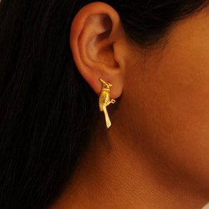 Arete topo cardenal Brillo Guajiro