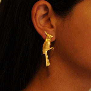 Arete grande cardenal Brillo Guajiro