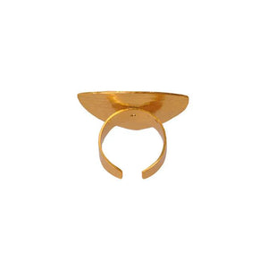 Anillo Bora