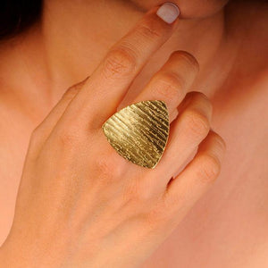 Anillo Bora