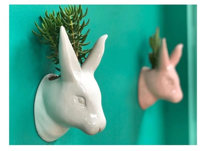 Conejo Pared