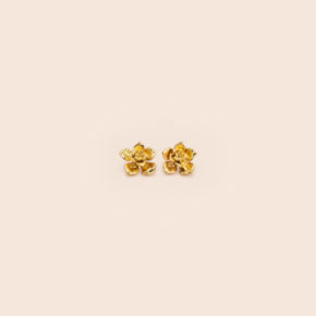 Aretes Topo Irene