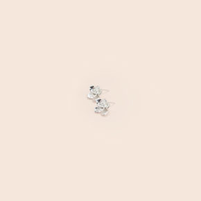 Aretes Topo Irene