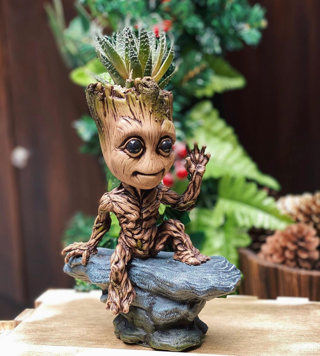 Groot Piedra