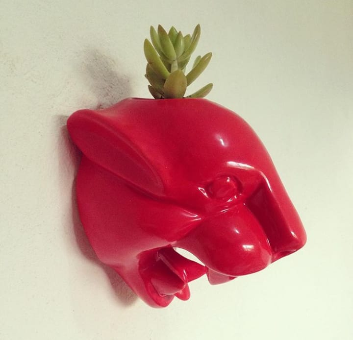 Tigre Pared